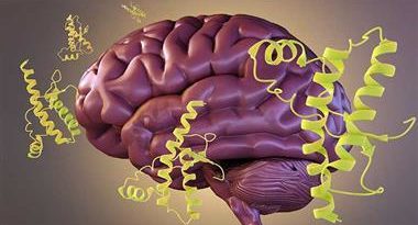 Covid mRNA Jabs Could "Trigger Dementia"? Prion Production and Neurodegenerative Diseases? Evidence - Global Research