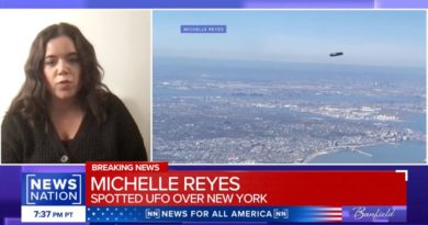 Possible UFO over NYC baffles passenger flying into LaGuardia