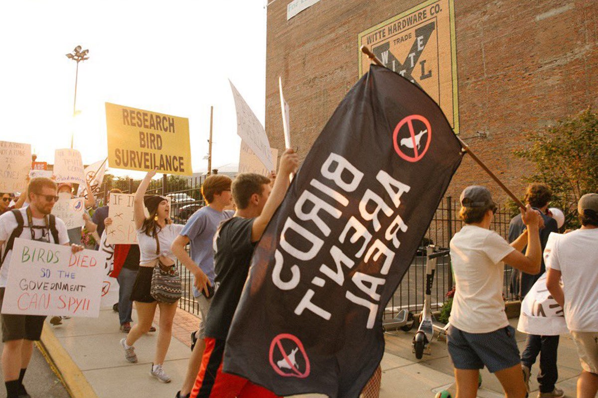 Protesters hold signs that say "Birds Aren't Real" and "Research Bird Surveillance."