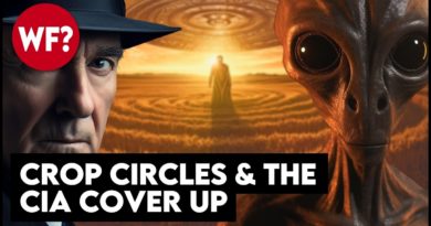 Aliens & Espionage: Crop Circles and the CIA Coverup | They Don't Want You to Know