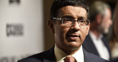 Dinesh D'Souza election fraud film, book '2000 Mules' pulled after defamation suit