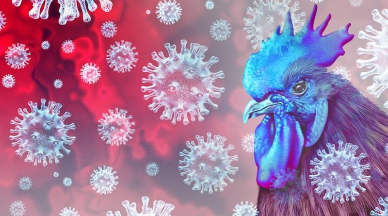 Ex-CDC Director (therefore not to be trusted) Warns Gain-of-Function Research on Bird Flu Could Spark ‘Great Pandemic’ (selling you the same scenario as the last one)