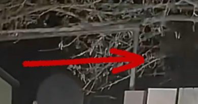 Las Vegas alien video shows at least 2 'beings' using 'cloaking' device: 'I'm opening it up to peer review'