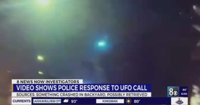 Las Vegas family claims to see aliens after several report something falling from sky