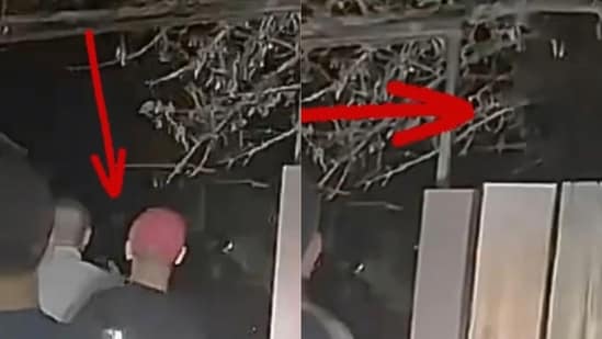 ‘This is NOT fake’: Las Vegas alien sighting video exposing at least 2 ‘beings’ deciphered by crime scene analyst