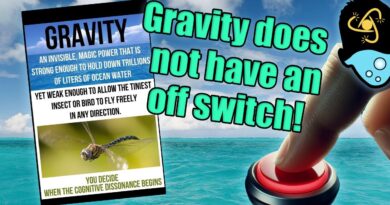 Debunking Flat Earth Memes: Dragonflies and Oceans