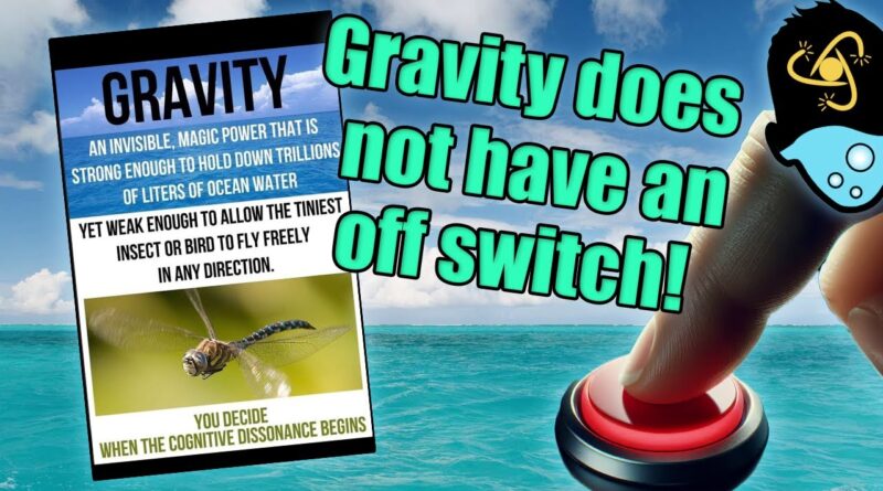 Debunking Flat Earth Memes: Dragonflies and Oceans