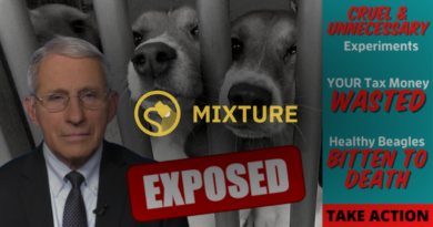 Did Fauci Spend Taxpayer Dollars on 'Cruel and Unnecessary' Tests on Beagles?