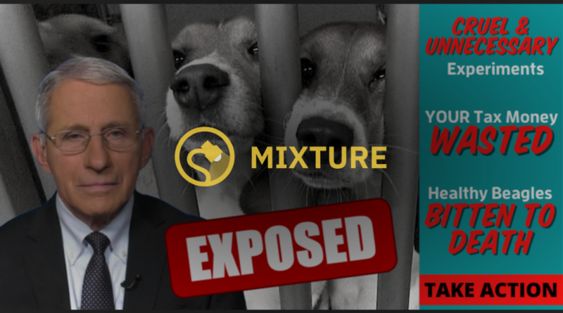 Did Fauci Spend Taxpayer Dollars on 'Cruel and Unnecessary' Tests on Beagles?