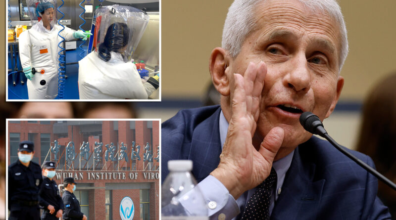 Dr. Anthony Fauci writes COVID-19 lab leak is a ‘conspiracy theory’ in memoir — but told Congress it wasn’t