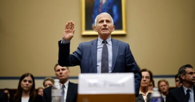 Fauci parries Republicans in combative hearing about Covid's origins and possibility of a lab leak