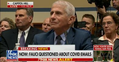 How Dr. Fauci Became the Face of COVID Conspiracy Theories - Conspiracy Watch