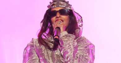 M.I.A. Goes Full Tin Foil Hat