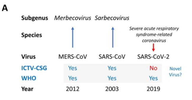 Sars-Cov2 Origins – “Gain of Function” or “Claim of Function”?