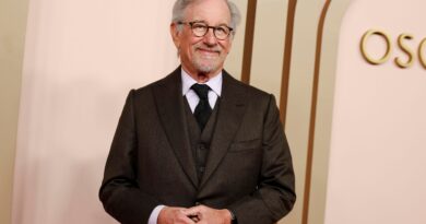 Steven Spielberg Announces New UFO Movie For Summer 2026