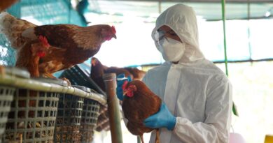 The Latest “Bird Flu” Death is “Covid” All Over Again