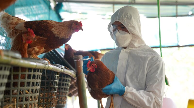 The Latest “Bird Flu” Death is “Covid” All Over Again