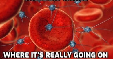 Disease X - Graphene Oxide Biochips Found in the Blood of the Unvaccinated - David Icke