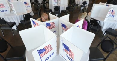 Michigan bill does not prohibit recounts based on allegations of election fraud