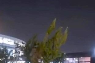 UFO with pulsating green lights filmed flying over Iran sparks TikTok frenzy