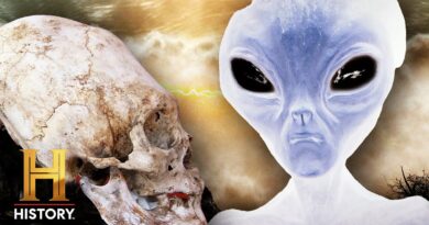 Ancient Aliens: UNEXPLAINED Sightings of STRANGE Gray Beings *MARATHON*