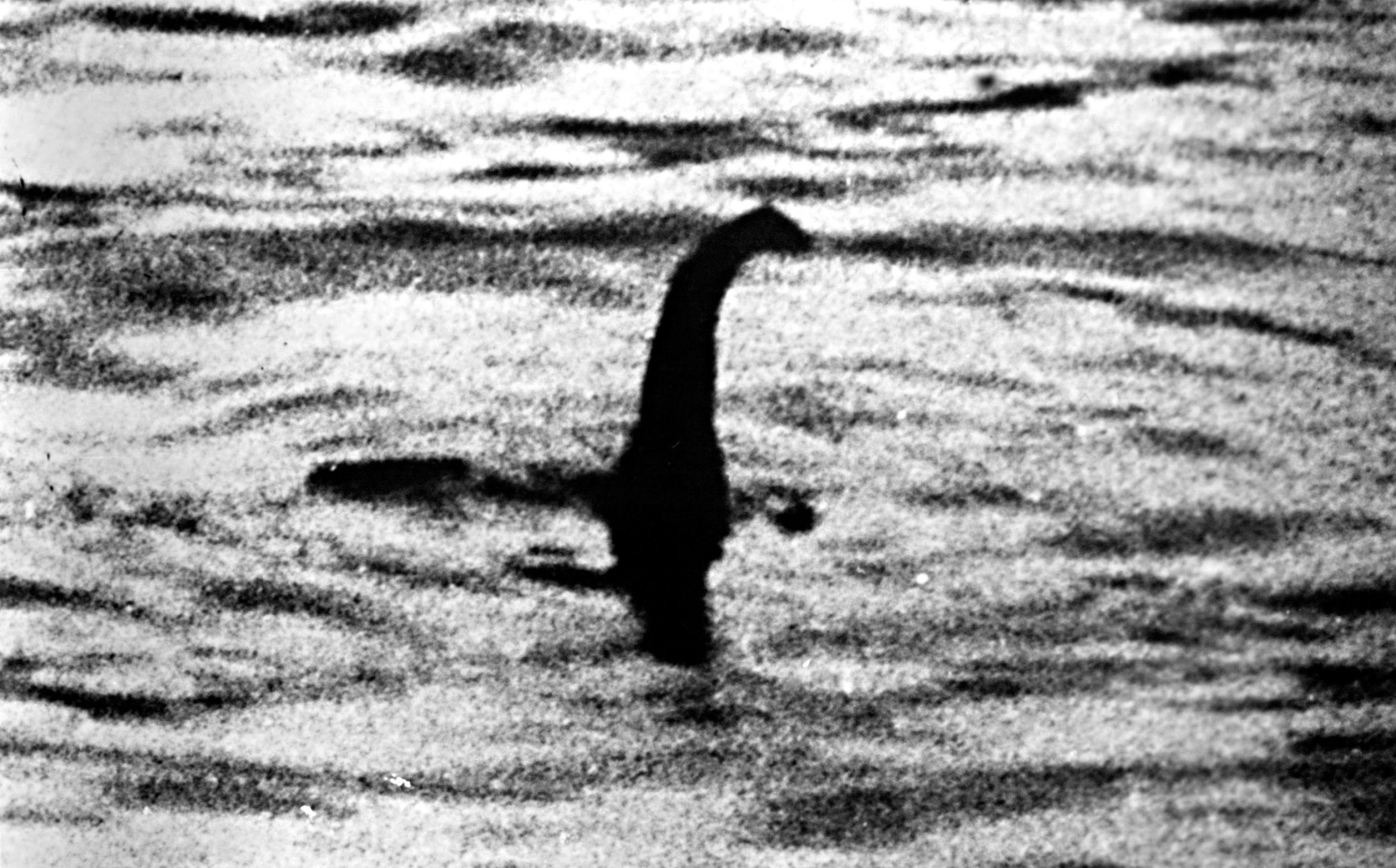 Loch Ness Monster’s existence ‘plausible’ after fossil breakthrough