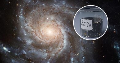 Dark matter–star "conspiracy" debunked by astronomers