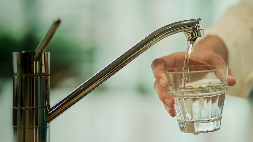 A person filling a glass with water from a tap.