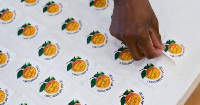 Georgia election board's new 'common sense' election integrity rule has angered all the right people | Blaze Media