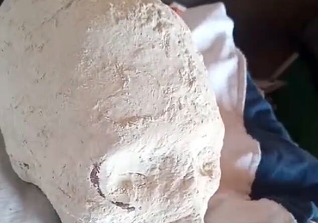 New video reveals two more 'alien mummies' and a severed 'alien skull'