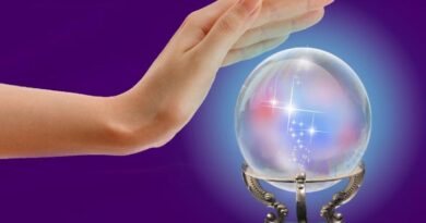 Professor Lichtman’s Crystal Ball