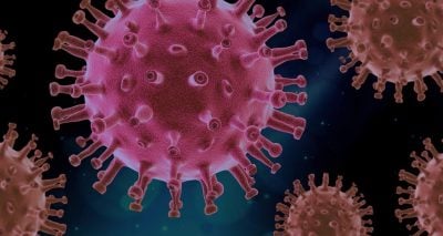 There Never Was a "New Corona Virus", There Never Was a Pandemic - Global Research