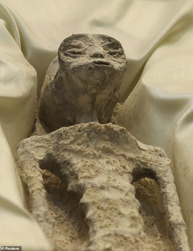 A close-up of one of the so-called alien mummies