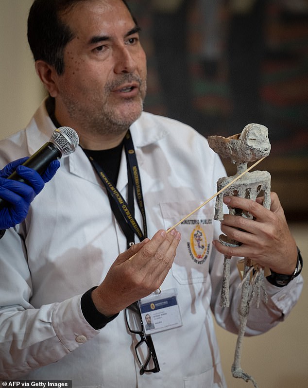 Flavio Estrada, a forensic archaeologist from the Institute of Legal Medicine and Forensic Sciences of Lima, described the alien mummies as 'dolls' made from animal bones stuck together with modern synthetic glues