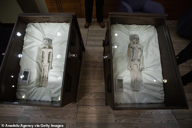 UFO expert's surprising verdict on 2ft 'alien' mummies found in Peru