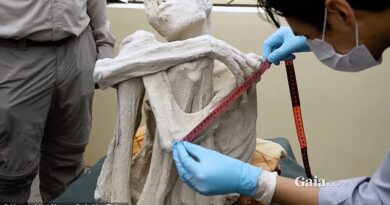 US Congress to investigate controversial 'alien' mummies