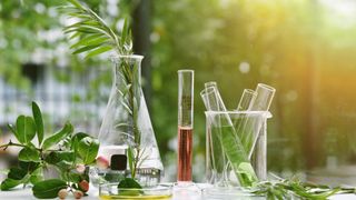 Leaves and berries in scientific instruments including test tubes and petri dishes