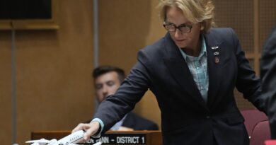 Arizona Sen. Wendy Rogers remembers 9/11 with a conspiracy theory (naturally)