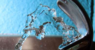 Flouride in drinking water linked to lower IQ in children