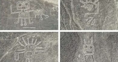 More than 300 Nazca glyphs found in Peru including Wall-E-style figure