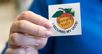 Oversight Project punches back after NYT tries to downplay registration of illegal alien voters in Georgia | Blaze Media