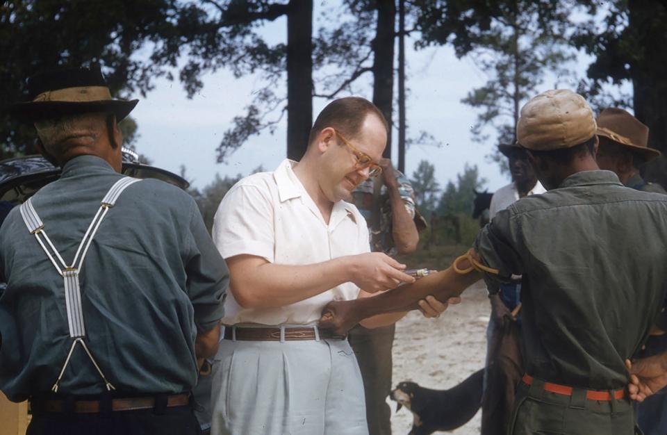 Tuskegee participants in the 1950s having their blood tested