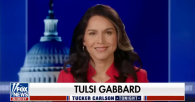 Conspiracy theory filmmaker who was behind viral COVID misinformation film says he’s working with Tulsi Gabbard on a new movie