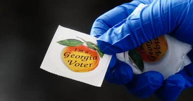 Democrats Sue Georgia State Election Board Over Rule Requiring Counties To Hand Count Number Of Ballots Cast  