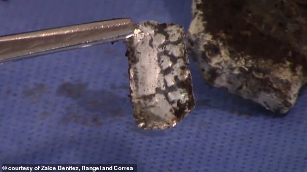 Above: 'The metal implant,' as Correa explained from Mexico on Wednesday, 'looks like aluminum and tin: a very light alloy [...] However, it is not possible to confirm what type of metals it contains until it is subjected to metallurgical analysis