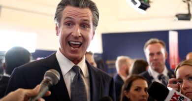 No ID? No problem! Californians won't have to show ID to vote, thanks to Gavin Newsom and other state Dems | Blaze Media