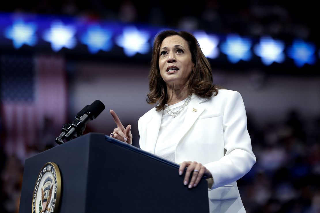 Democratic presidential nominee, US Vice President Kamala Harris speaks at a campaign rally in Savannah, Georgia, on August 29, 2024.