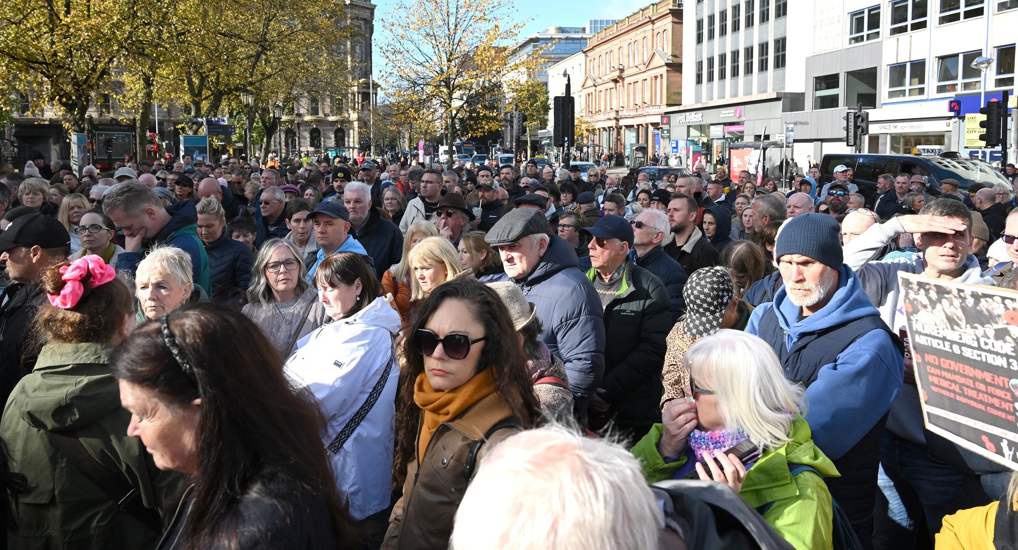 Protestors pictured at Belfast City Hall against the NI Public Health Bill. .