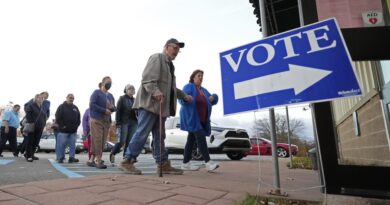 Analysis: How PolitiFact fact-checked 2024 election claims on vote counting, mail ballots, machines