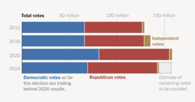 Drop-Off in Democratic Votes Ignites Conspiracy Theories on Left and Right